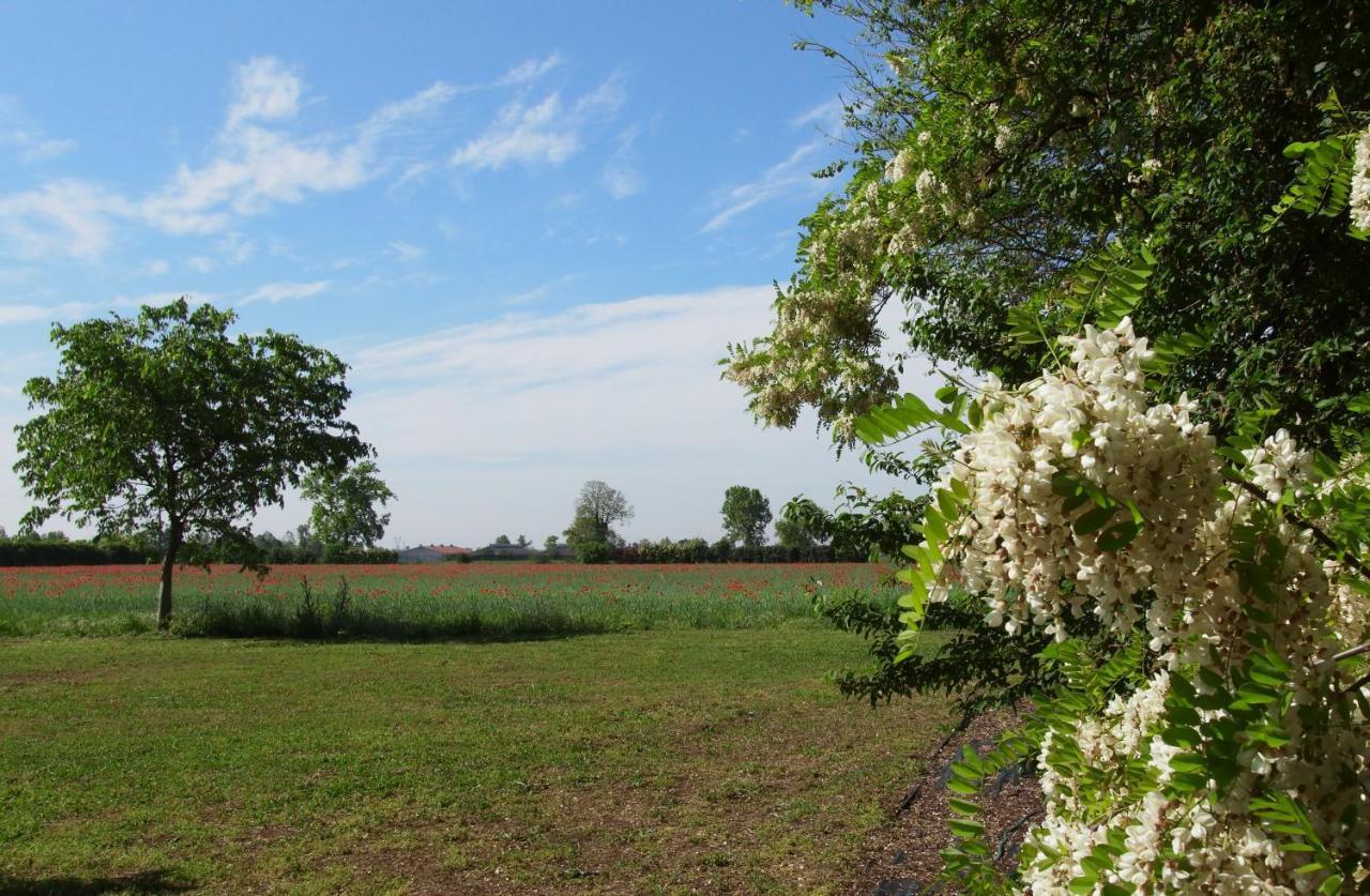 Agriturismo Fiorbello Montirone 외부 사진